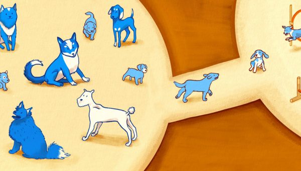 Illustration of dogs